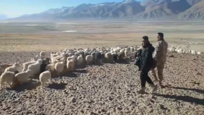 graziers confront chinese soldiers in ladakh  report