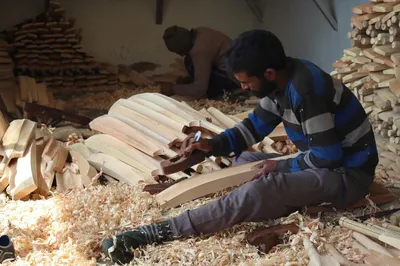 crisis looms over kashmir s cricket bat industry as willow trees face extinction