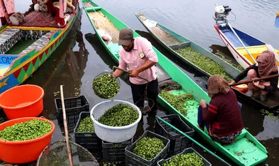 asia s second largest fresh water lake is endangered by pollution  rising temperatures