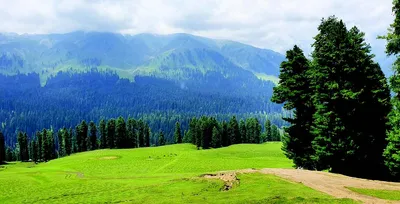 serenity meets adventure in kulgam’s chiranbal meadows