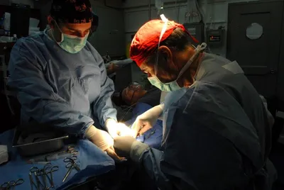 brain dead person offers multiple organ donations at apollo hospital