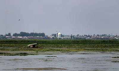 dal lake pollution  ngt forms panel to take ‘expeditious remedial action’