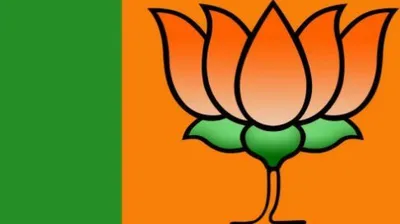 rajya sabha elections   bjp wins 8 seats  sp bags 2 in uttar pradesh