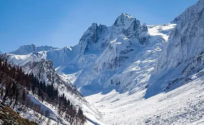 kashmiri trio scales deadly glacier  79 years after last british ascent in the  40s