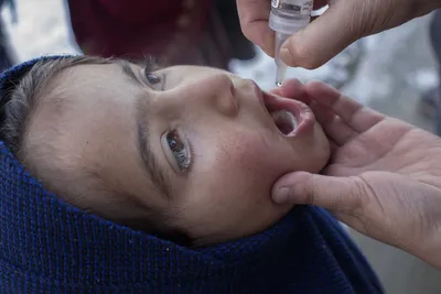 nearly 3 million doses of polio vaccines delivered to gaza since oct 2023  israel