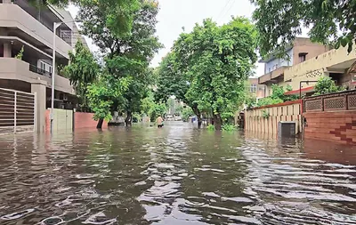 7 dead  6 000 relocated as torrential rain pounds gujarat