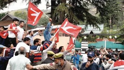 jubilant voters celebrate nc’s thumping victory on streets