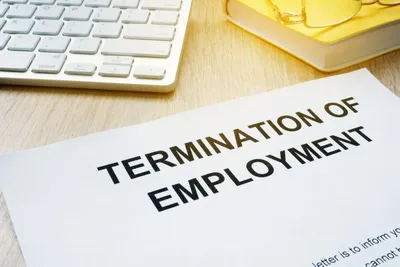 dsek terminates teacher for fraudulent entry in department