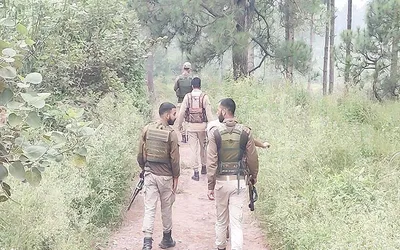 searches launched in j k s kathua after suspicious movement reported