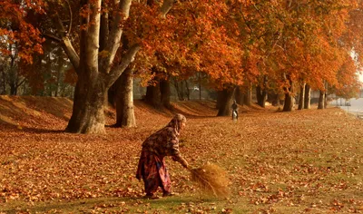 harud  a season of harvest and beauty