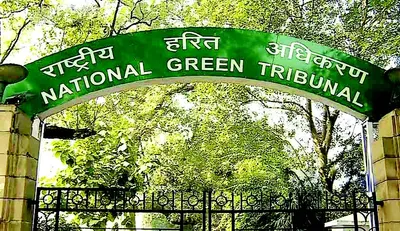 ngt constitutes committee  to submit report in 8 weeks