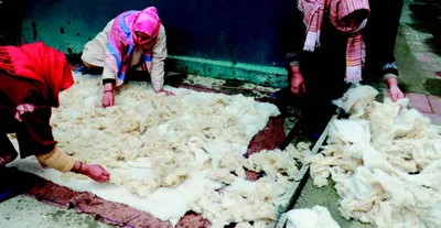 knotting empowerment   srinagar women’s group strives to revive ancient namda art