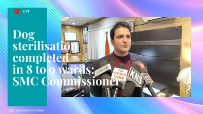 video   dog sterilisation completed in 8 to 9 wards  smc commissioner