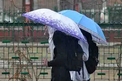 brief rains  thundershowers to continue in j k parts till aug 31  weatherman