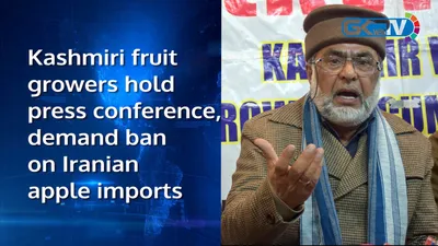 kashmiri fruit growers hold press conference  demand ban on iranian apple imports