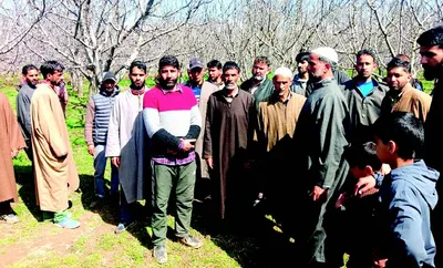 railway expansion gives sleepless nights to shopian’s apple farmers