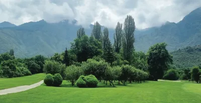 tee off on toxic turf  kashmir s royal springs golf course battles pollution