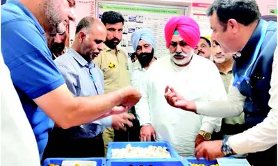 punjab minister explores sericulture potential at csr ti pampore