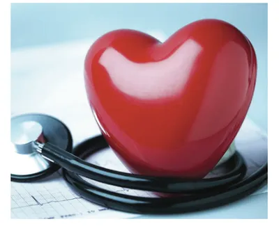 doctors raise alarm on world heart day as cardiac cases surge in kashmir