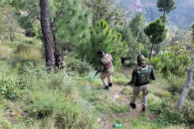 anti terror operation underway in j k’s kathua  no fresh firing