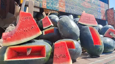 watermelon controversy baseless  deputy commissioner  food safety kashmir