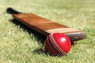 sveep cell  sports association rajouri collaborate to host cup t20 cricket tournament