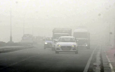 foggy mornings   driving slow and observing caution  key to safety