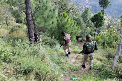 terrorist killed  another trapped as gunfight rages on in bandipora forest