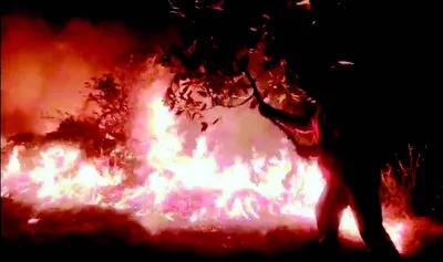 forest fire occurs at several places in rajouri