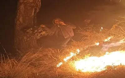 6 forest fire incidents reported in poonch in 4 days