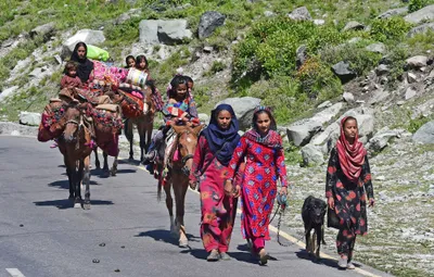 vehicle collapse  nomadic movements slow down traffic along srinagar jammu national highway