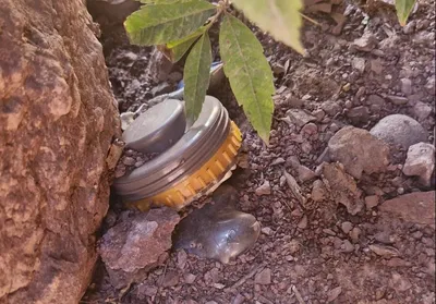 explosive device recovered in rajouri  destroyed