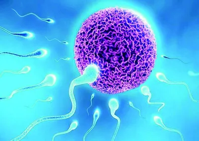 infertility in kashmir  not just a woman s concern