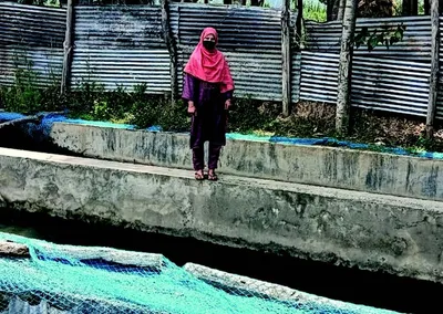 scales of success  how saiqa mushtaq turned fish farm into fortune