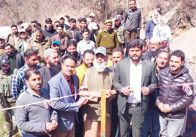 plantation drive organised in sindh forest division