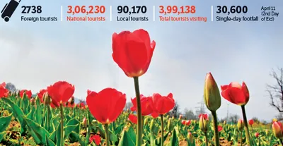 tulip garden’s enchanting beauty mesmerises visitors with riot of colours