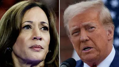 kamala harris or donald trump 