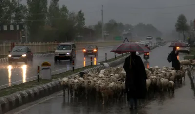 heavy downpour drenches kashmir  affects normal life