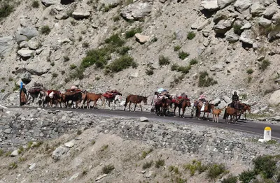 nomadic movements  breakdown of vehicles impede traffic along srinagar jammu national highway