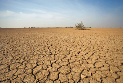 new study shows how drought and gdp are related