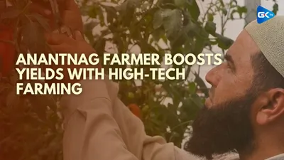 anantnag farmer leads the way in high tech vegetable cultivation  inspires others