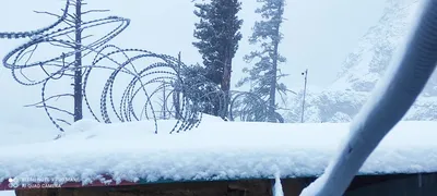 mughal road closed for traffic after fresh snowfall