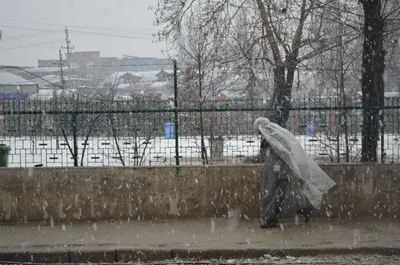 in pictures  life in srinagar amid snowfall