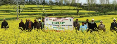 revolutionising oilseed farming in j k