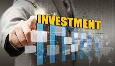 fpis see steady growth in debt investment