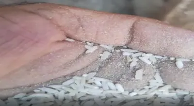 rotten rice supply in bandipora exposes rot in system