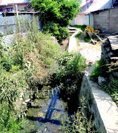 lifeline to waste line   shounsh khul choked by encroachment  silt