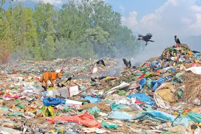 garbage dumping near ghss handwara hampers movement of students  locals