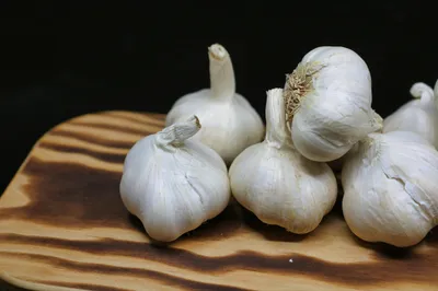  kulgam cultivates one of the finest garlic varieties in country 