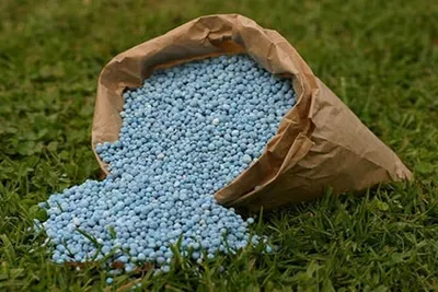 russia ukraine war  goi incurred rs 254798 cr expenditure on fertilizers’ subsidy in 2022 23